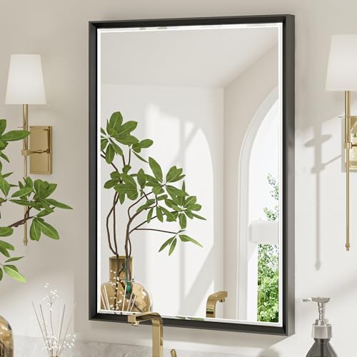 QueenFun Black Framed Mirror 22x30 Inch