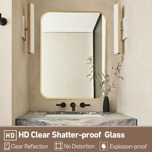 FARMER 22x30 Inch Matte Gold Bathroom Mirror