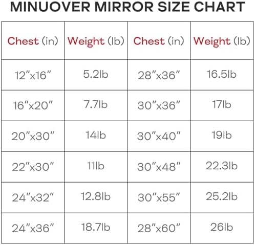 Minuover Wall Mount Mirror Brushed Gold Frame 30x40 Tempered Glass Vanity Mirror