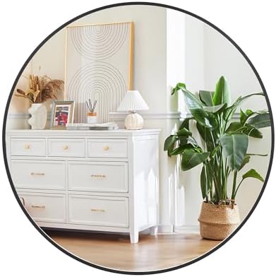 Black 20 Inch Round Mirror with Brushed Metal Frame
