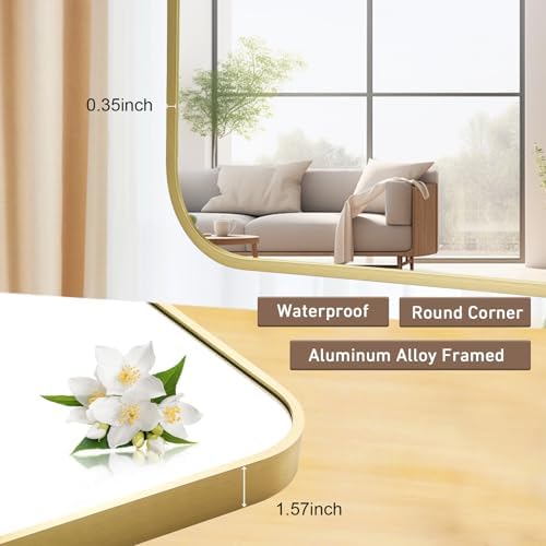 FARMER 22x30 Inch Matte Gold Bathroom Mirror