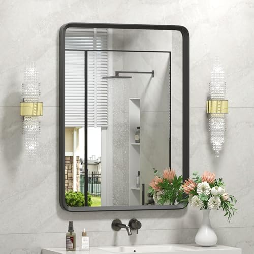 GOLOMO 20x30 Inch Matte Black Framed Mirror for Bathroom