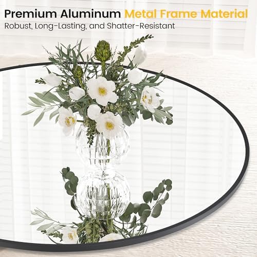 Black 20 Inch Round Mirror with Brushed Metal Frame