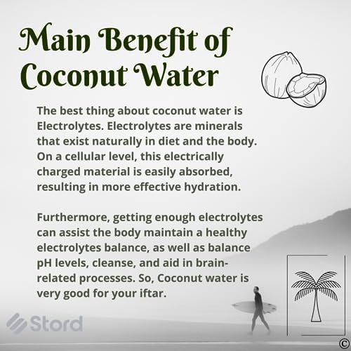 S STORD Coconut Opener - Fast Safe Easy to Use