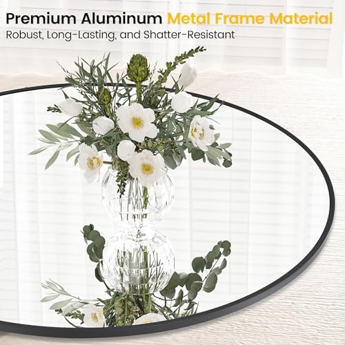 Modern 20 Inch Round Mirror with Metal Frame