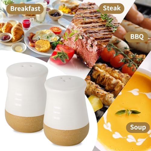 Hasense Salt Pepper Shaker Set Ceramic White Cute Design Refillable Farmhouse Kitchen Decor