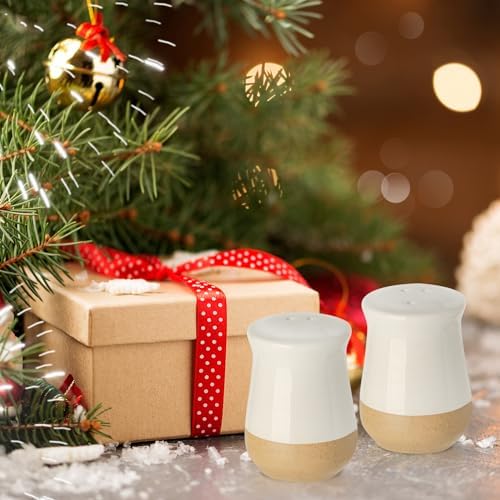 Hasense Salt and Pepper Shakers Set of 2 Ceramic 1